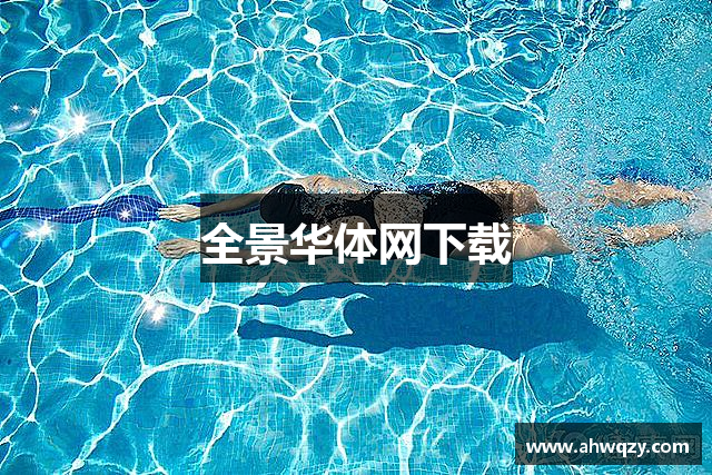 全景华体网下载